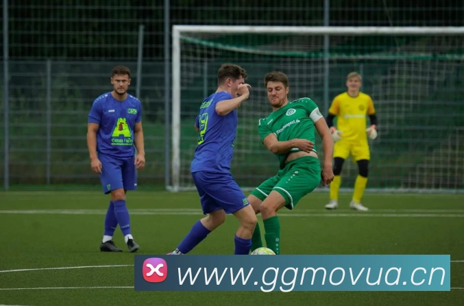 多媒体互动体验